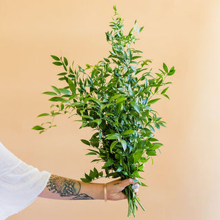 Greenery Bundle