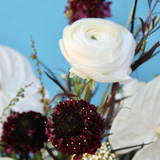 Mother's Day Collection: Bebe
