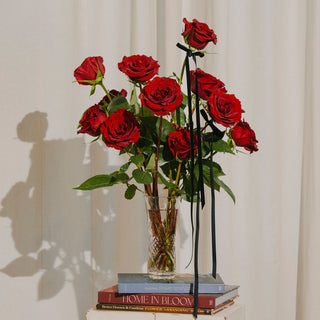 Valentines Classic Rose Dozen