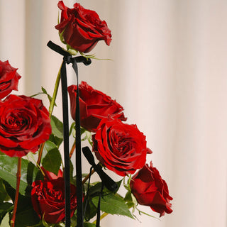 Valentines Classic Rose Dozen