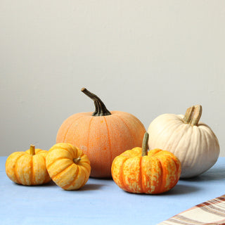 Thanksgiving Budvase Package