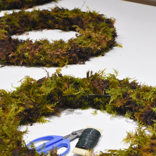 Holiday Wreath Workshop